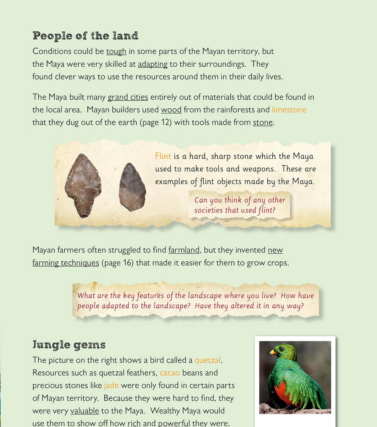 Page about resources and landscape, showing flint tools, a colourful quetzal bird and questions about Mayan adaptation