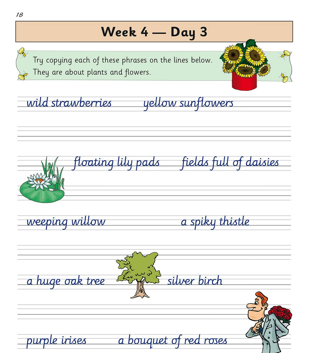 Practice page showing phrases about plants and flowers with cursive letter joins