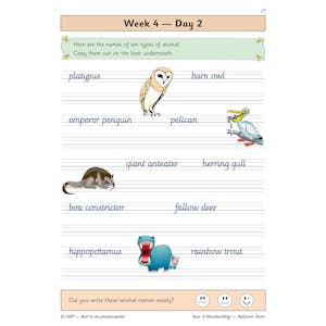 KS2 Handwriting Year 3 Daily Practice Book: Autumn Term Look Inside Image 4