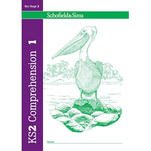 KS2 Reading Comprehension Book 1 (Ages 7-11) Look Inside Image 1