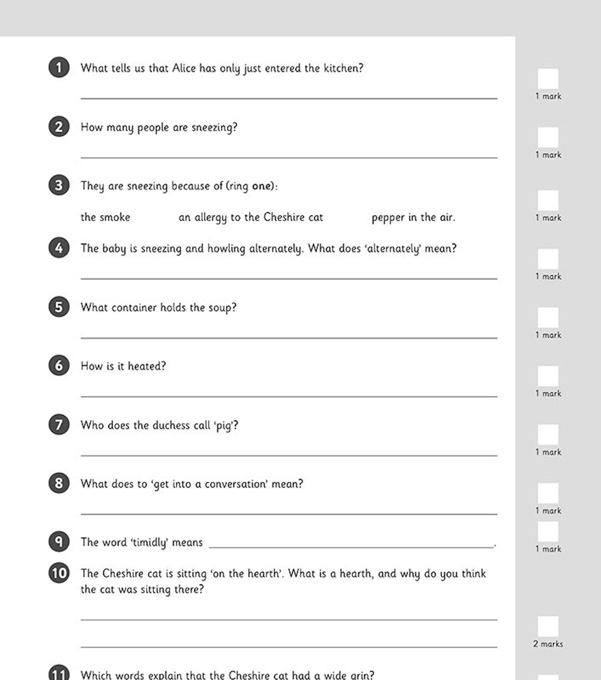 Sample comprehension questions from the Alice in Wonderland extract
