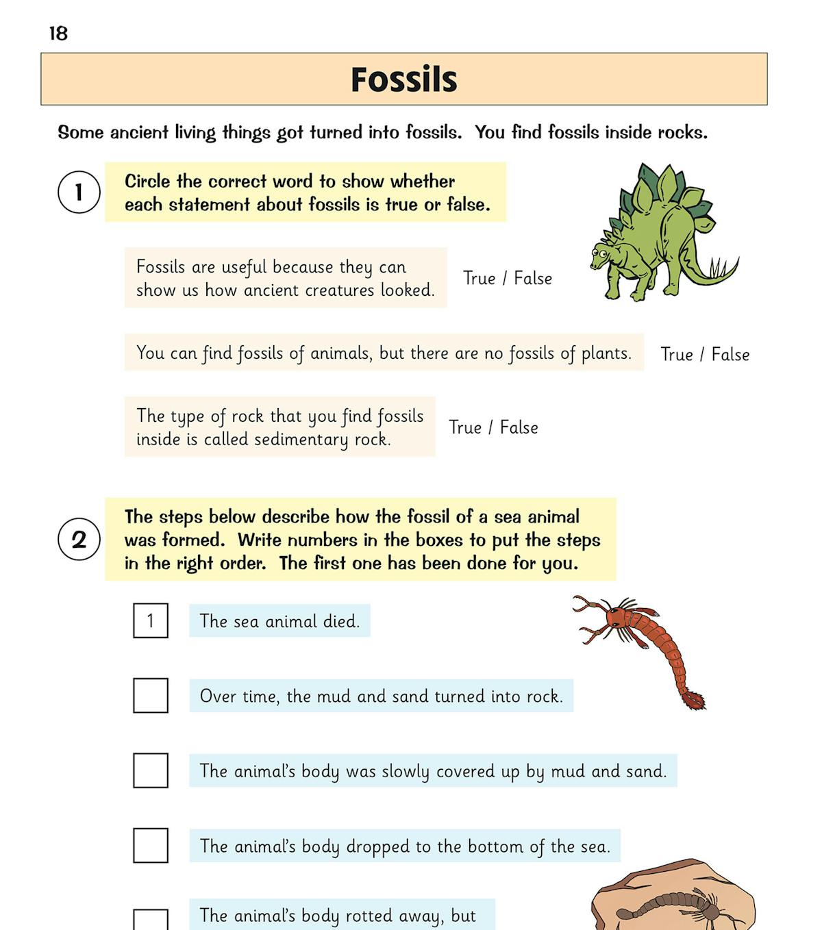 Inside page showing soil topic with fill-in-the-gap questions and a practical investigation about water drainage