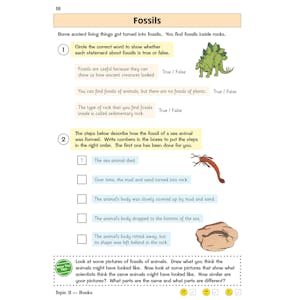 KS2 Science Year 3 Targeted Question Book (includes answers) Look Inside Image 4