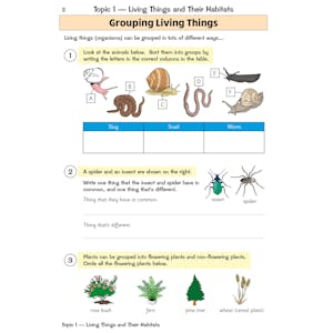 KS2 Science Year 4 Targeted Question Book (includes answers) Look Inside Image 2