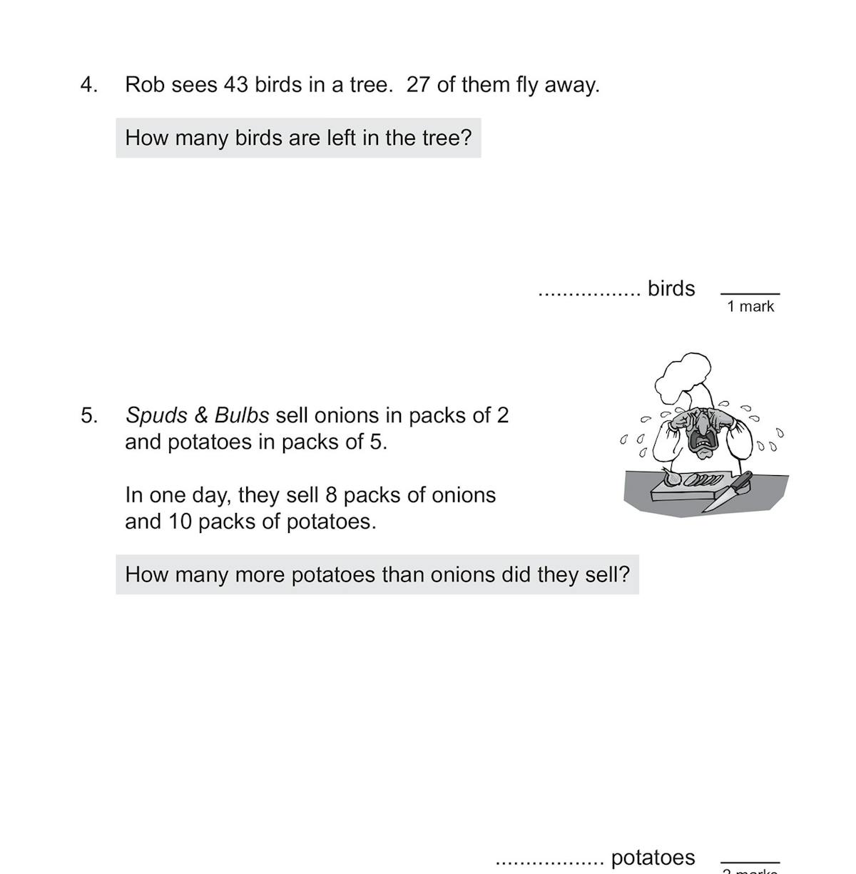 Sample test page showing problem-solving questions with answer boxes and mark allocations