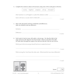 KS3 Biology 10-Minute Tests (Ages 11-14) Look Inside Image 4