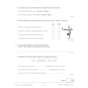 KS3 Biology 10-Minute Tests (Ages 11-14) Look Inside Image 6