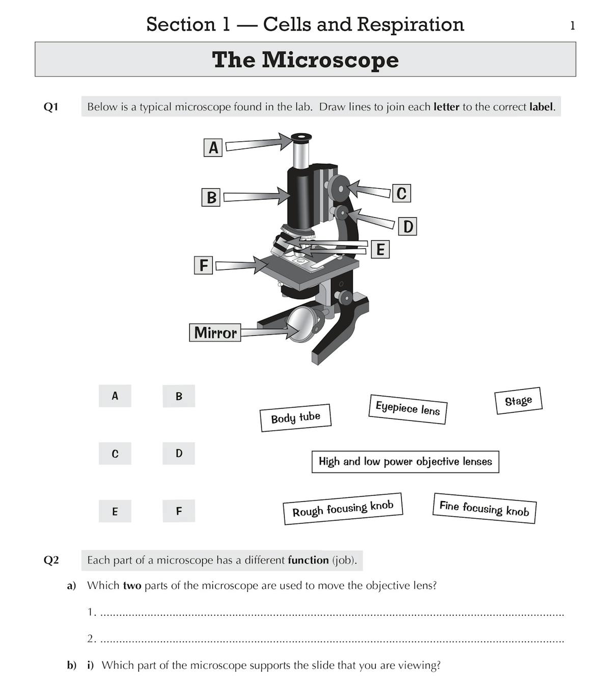 Sample workbook page showing a microscope labelling task and function questions