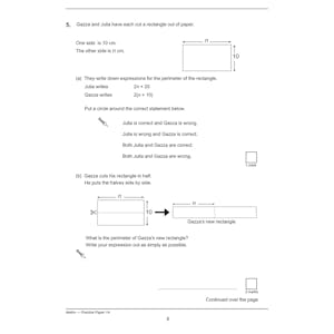 KS3 Maths Practice Papers (Ages 13-14) Look Inside Image 2