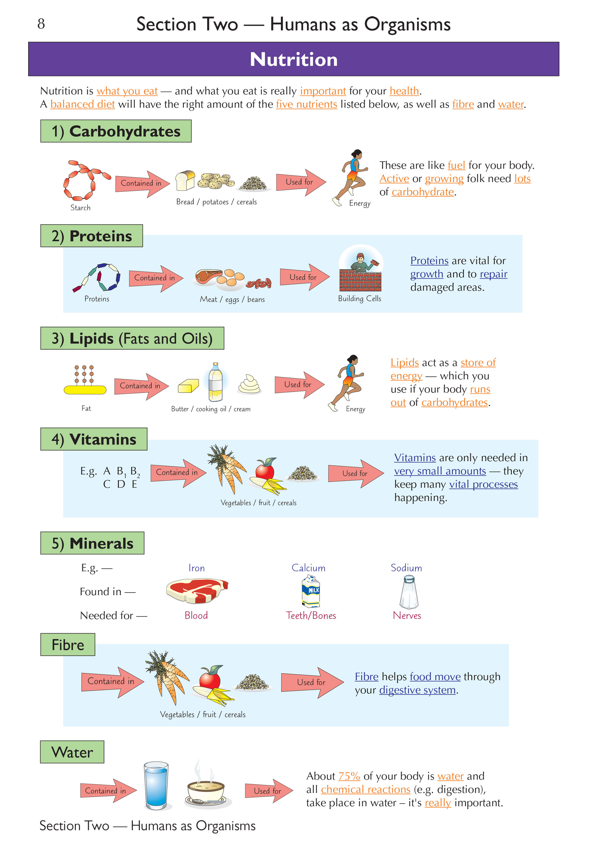 Buy KS3 Science Complete Revision & Practice (Ages 11-14)