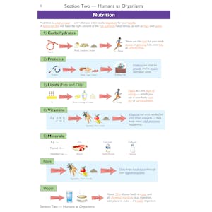 KS3 Science Complete Revision & Practice (Ages 11-14) Look Inside Image 3