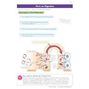 KS3 Science Complete Revision & Practice (Ages 11-14) Look Inside Image 6