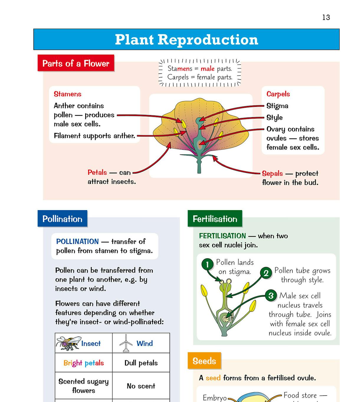 Colour-coded page on plant reproduction showing parts of a flower, pollination, fertilisation and seeds with diagrams and tables