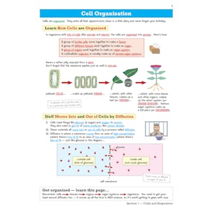 KS3 Science Revision Guide (Ages 11-14) Look Inside Image 6