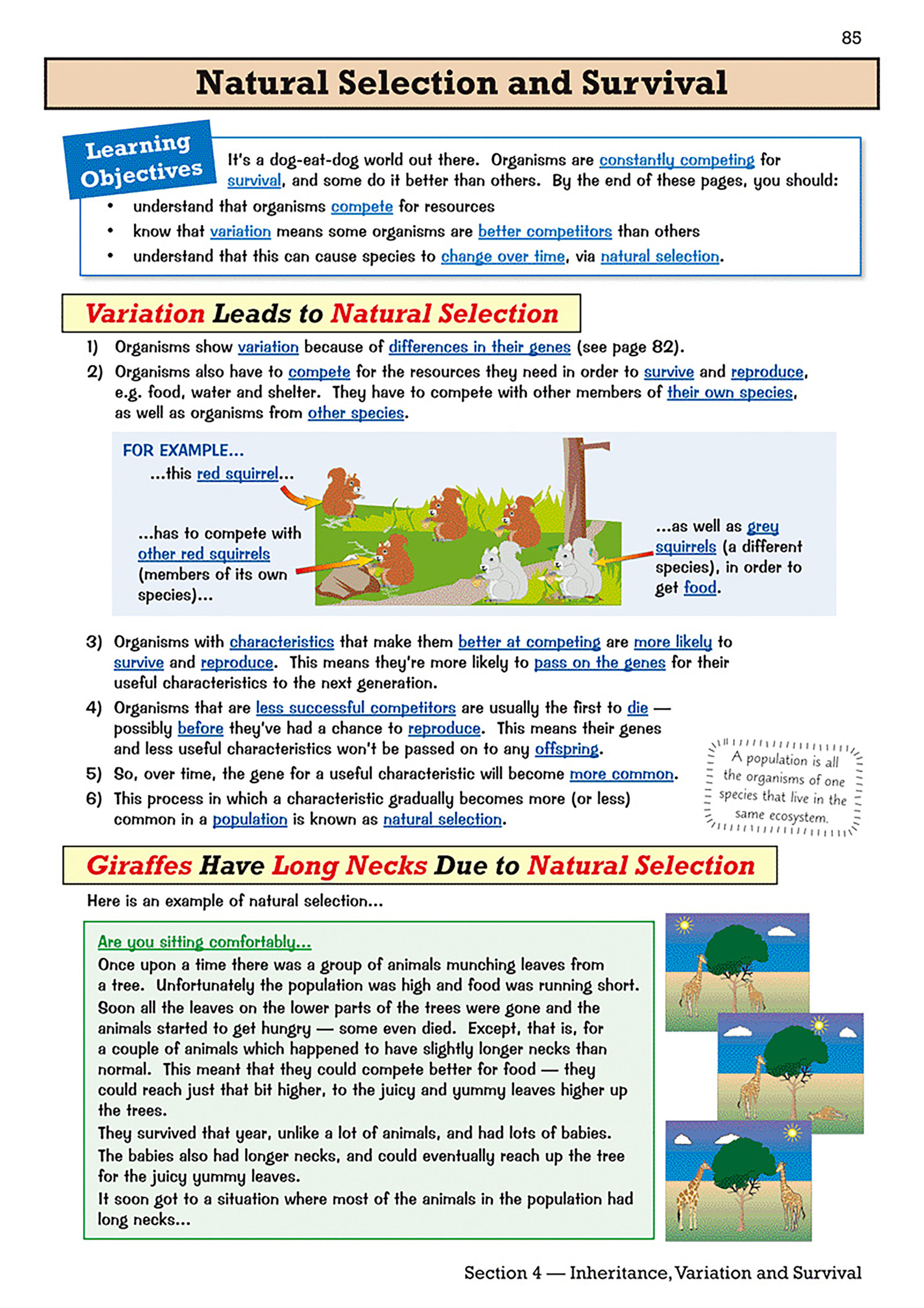 Buy KS3 Science Study & Workbook Pack (Ages 11-14) | Exam Ninja