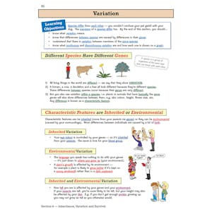 KS3 Science Study & Workbook Pack (Ages 11-14) Look Inside Image 5