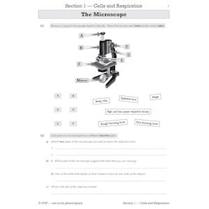 KS3 Science Workbook Pack (Ages 11-14) Look Inside Image 3