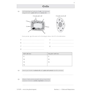 KS3 Science Workbook Pack (Ages 11-14) Look Inside Image 5