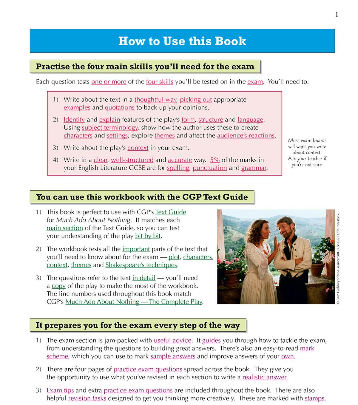 Sample workbook page with true or false questions about Much Ado About Nothing Act 1