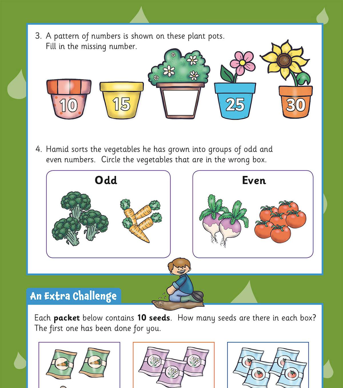 Sample page featuring number sequences on plant pots and odd-even sorting activities with vegetables