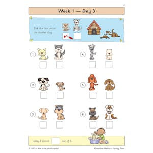 Reception Maths Daily Practice Book: Spring Term Look Inside Image 5