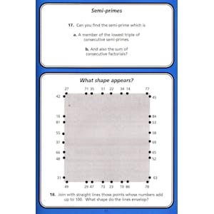 The Number Detective (Ages 7-11) Look Inside Image 2