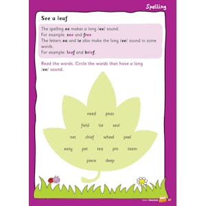 Year 1 English Workbook (Ages 5-6) Look Inside Image 2