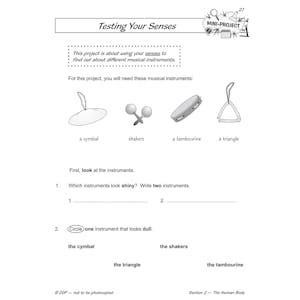 Year 1 Science Workbook Pack (Ages 5-6) Look Inside Image 4