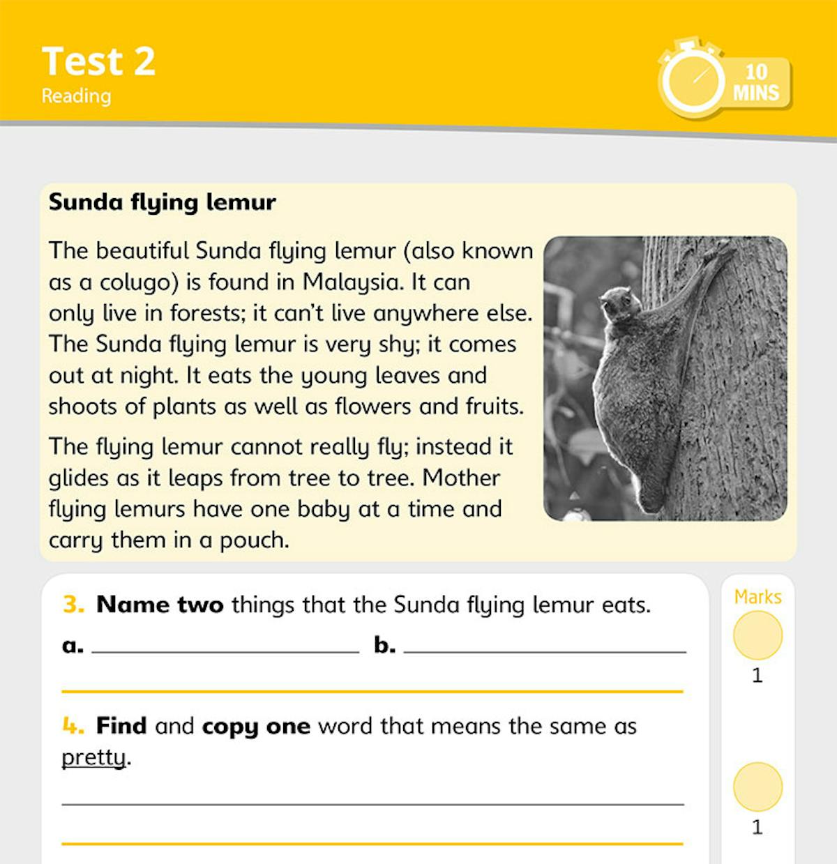 Year 2 Reading 10-Minute SATs Tests sample comprehension question page