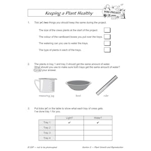 Year 2 Science Study & Workbook Pack (Ages 6-7) Look Inside Image 23