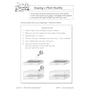 Year 2 Science Study & Workbook Pack (Ages 6-7) Look Inside Image 22