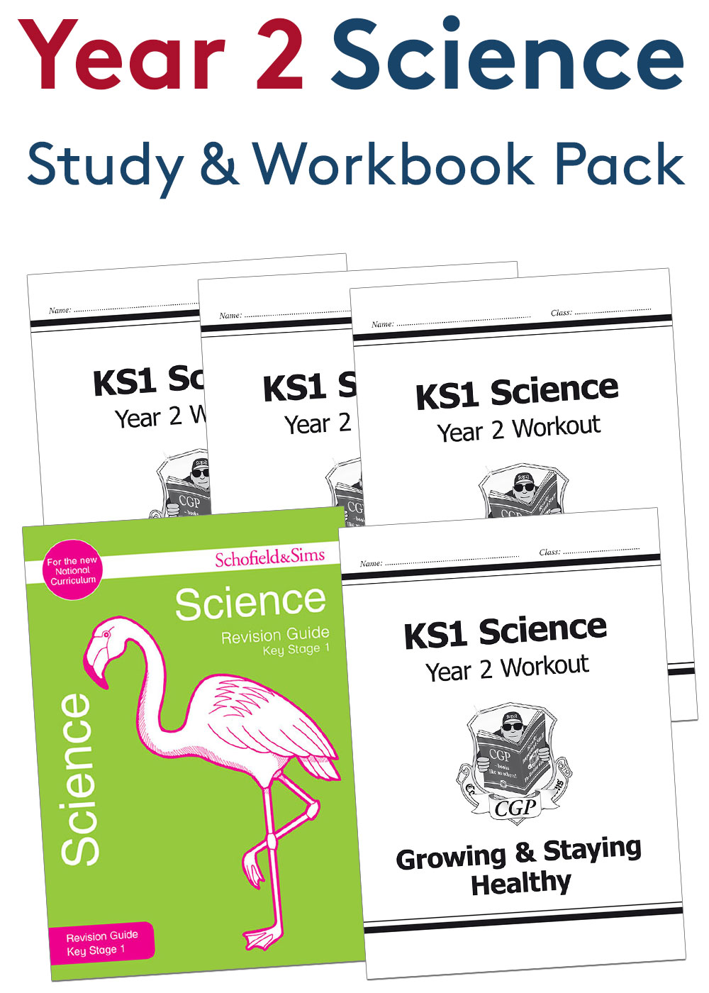 Year 2 Science Study & Workbook Pack (Ages 6-7)
