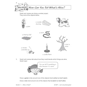 Year 2 Science Workbook Pack (Ages 6-7) Look Inside Image 11