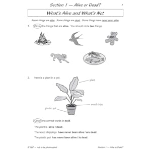 Year 2 Science Workbook Pack (Ages 6-7) Look Inside Image 8