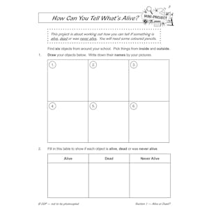 Year 2 Science Workbook Pack (Ages 6-7) Look Inside Image 10