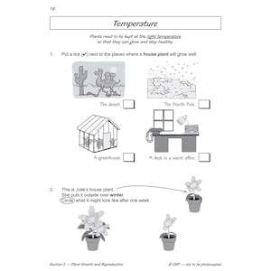 Year 2 Science Workbook Pack (Ages 6-7) Look Inside Image 20