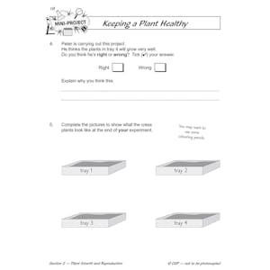 Year 2 Science Workbook Pack (Ages 6-7) Look Inside Image 24