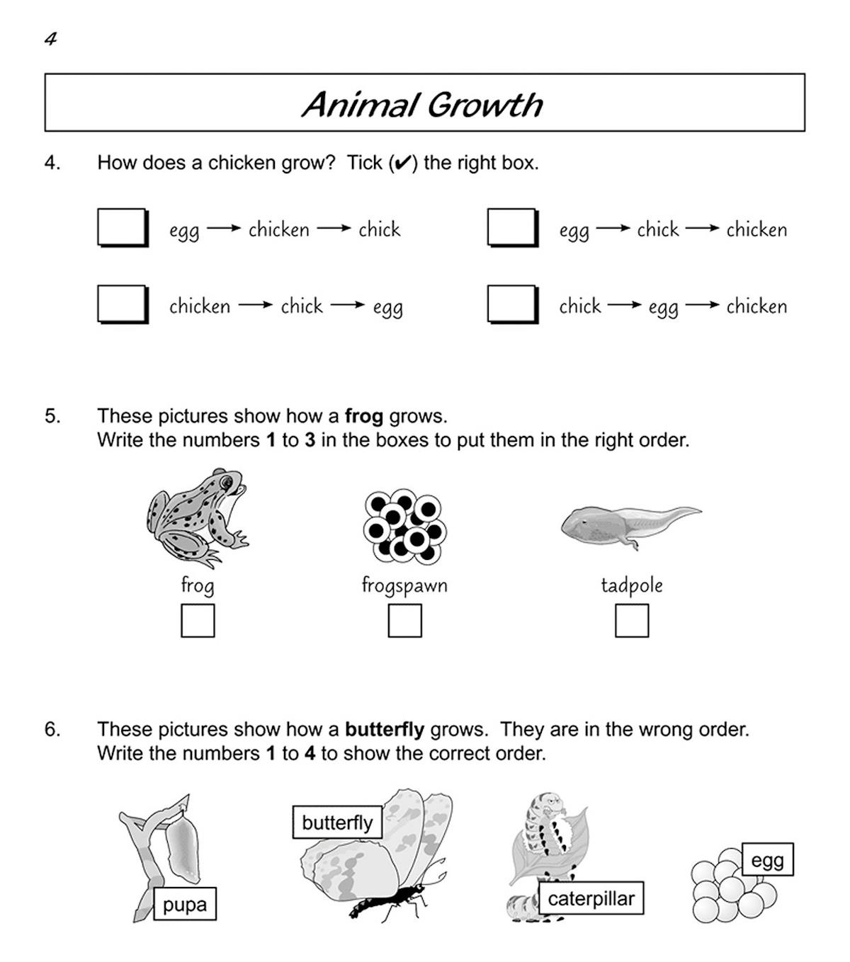 Sample page showing life cycle questions with frog and butterfly stages
