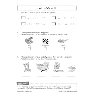 Year 2 Science Workout - Growing & Staying Healthy (Ages 6-7) Look Inside Image 3