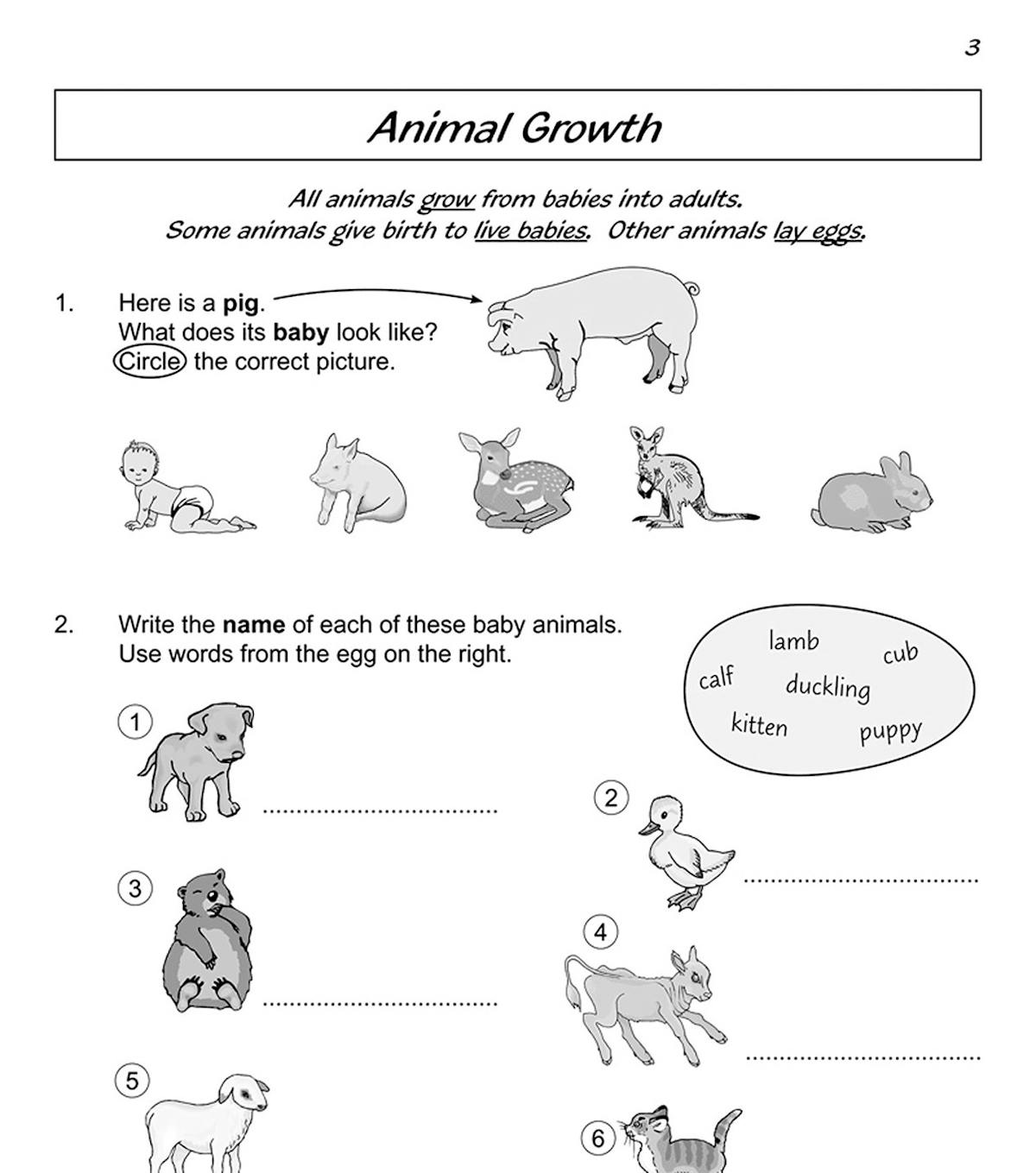 Sample page showing animal growth questions with illustrations of baby animals
