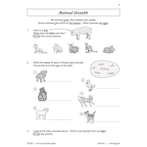 Year 2 Science Workout - Growing & Staying Healthy (Ages 6-7) Look Inside Image 2