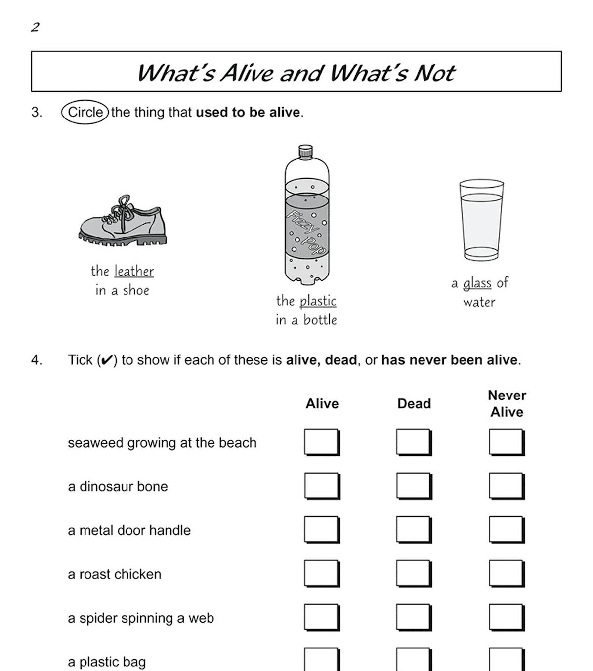 Sample page showing activities on identifying alive, dead and never alive objects