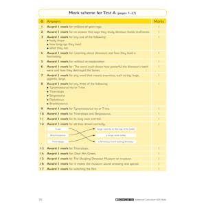 Year 3 SATs Practice Papers Pack (Ages 7-8) Look Inside Image 3