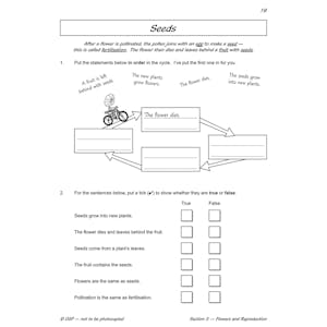 Year 3 Science Workbook Pack (Ages 7-8) Look Inside Image 11