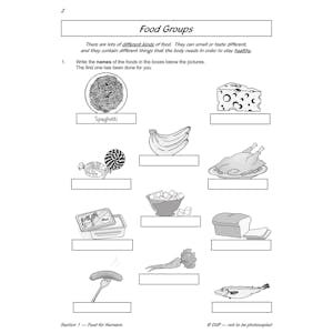 Year 3 Science Workbook Pack (Ages 7-8) Look Inside Image 15