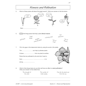 Year 3 Science Workout - Plant Life (Ages 7-8) Look Inside Image 3