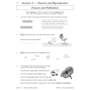Year 3 Science Workout - Plant Life (Ages 7-8) Look Inside Image 2