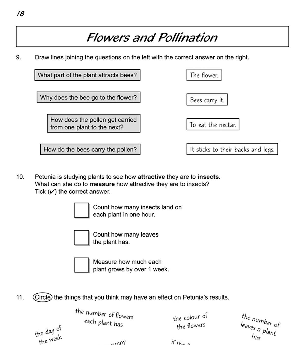 Illustration showing parts of a flowering plant with labels and diagrams
