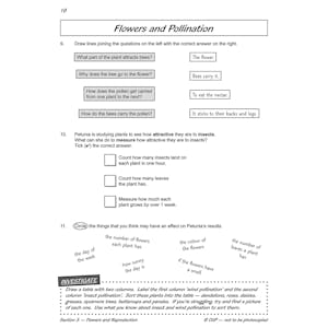 Year 3 Science Workout - Plant Life (Ages 7-8) Look Inside Image 4