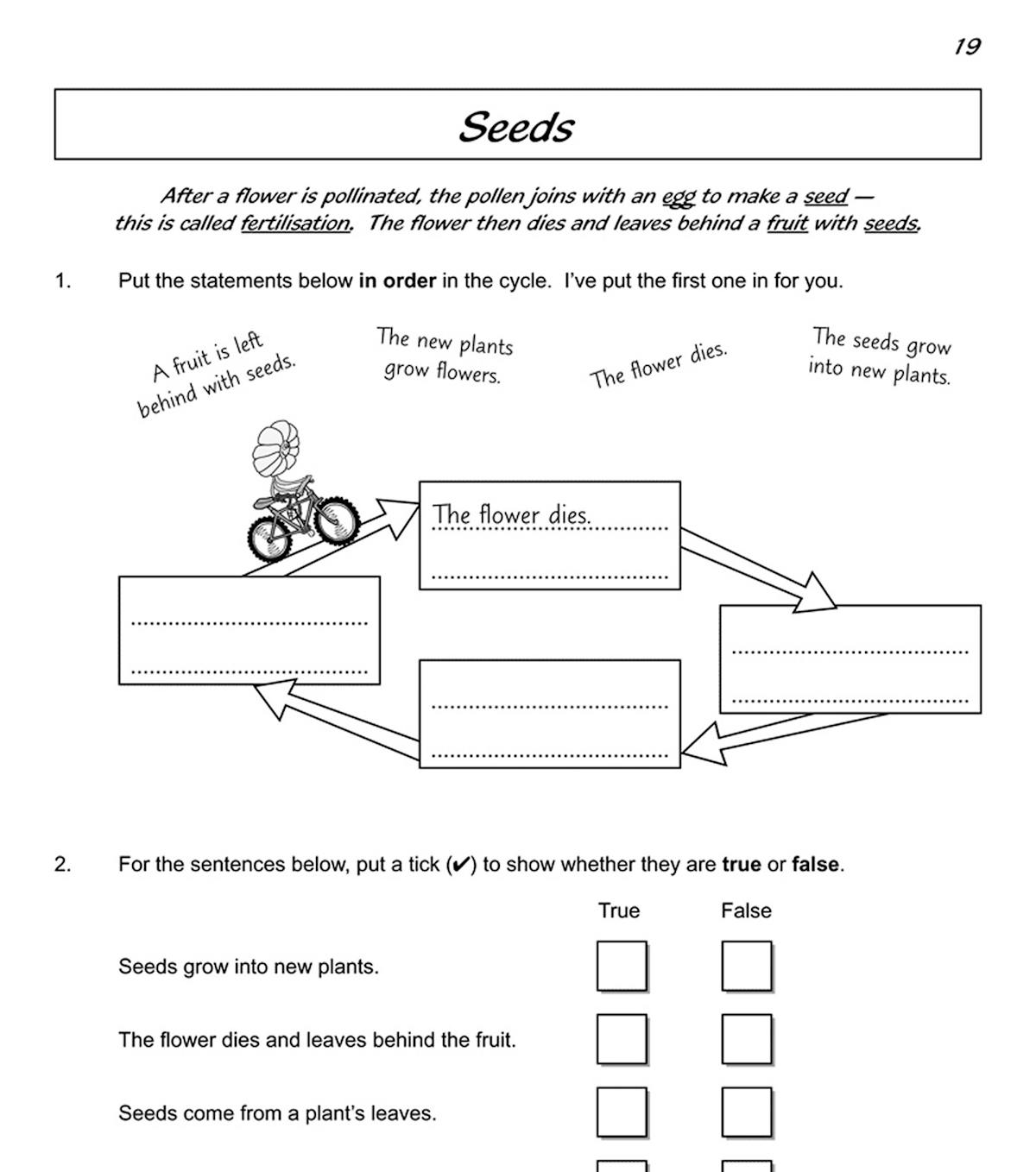 Workbook page about seeds showing lifecycle sequencing and true or false questions
